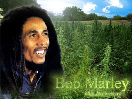 bob é sn toll de gandjaaaaaaaaaa......